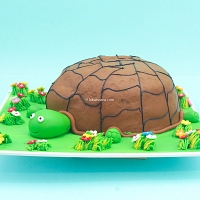 Turtle Cake